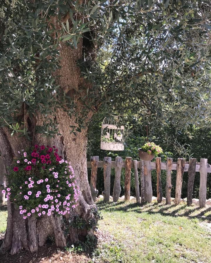 Agriturismo Le Faeta Arpino Dış mekan fotoğraf